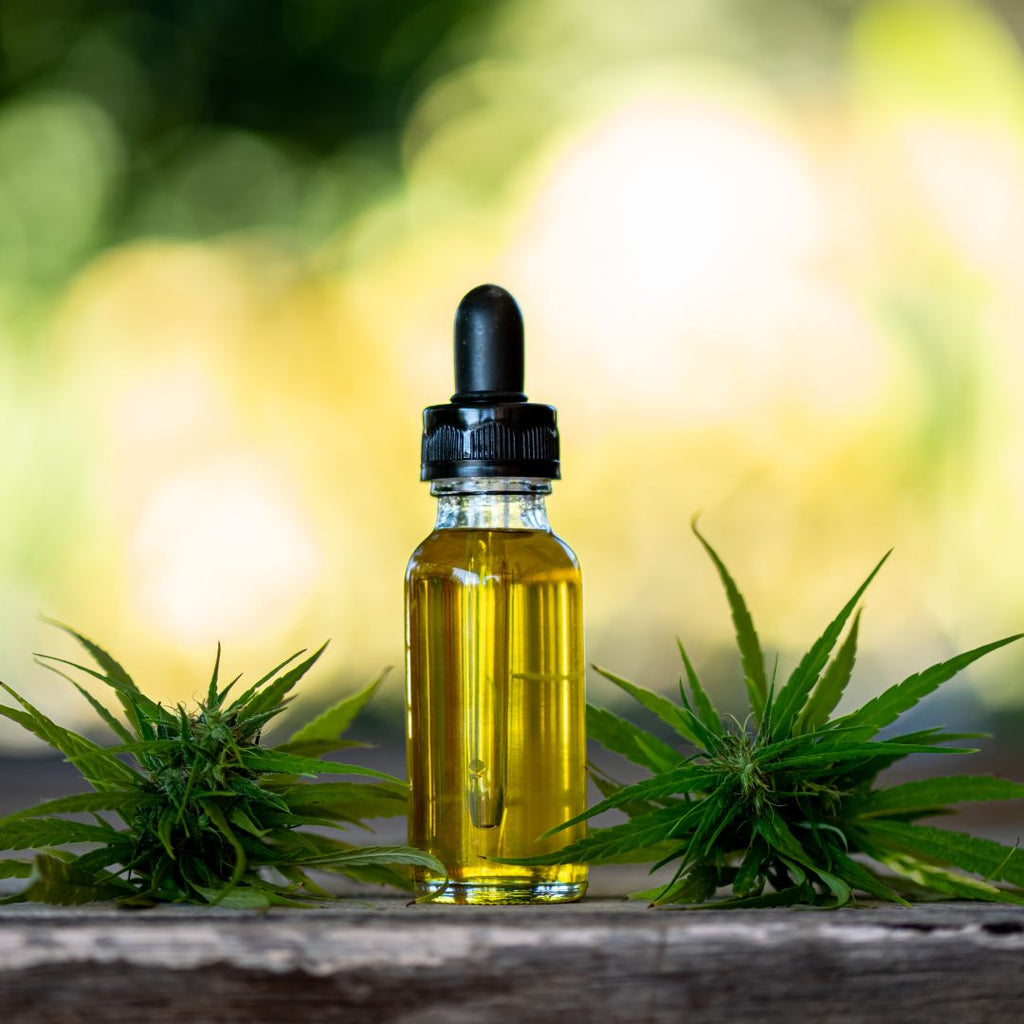 Cannabis-Infused Products