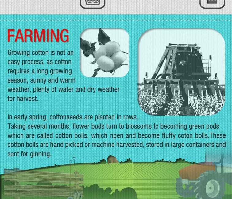 From Seed to Tee - How is your T-shirt made? - Infographic