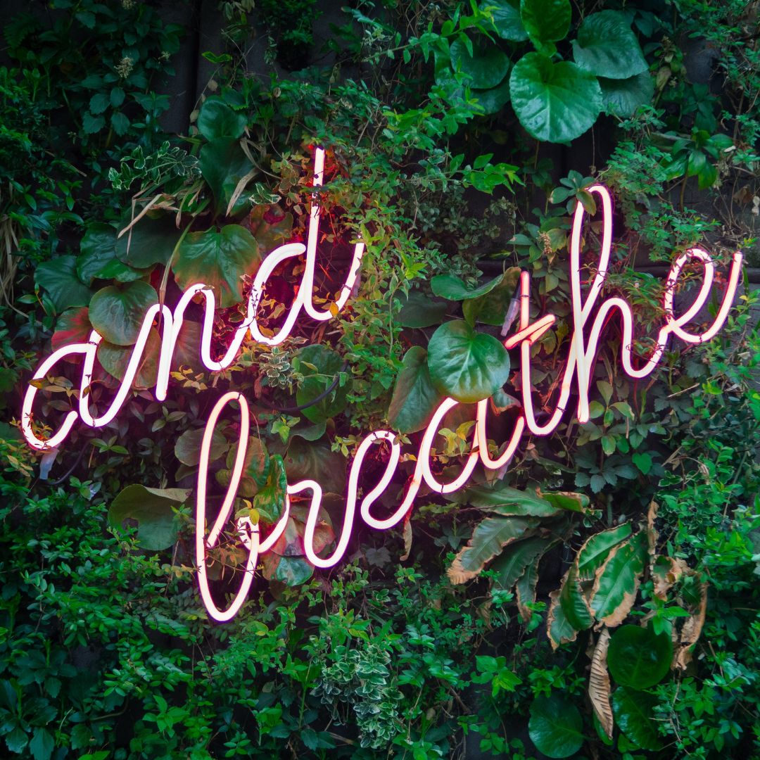 Are Neon Signs and Personalized Flags The Secret to Drawing Attention?